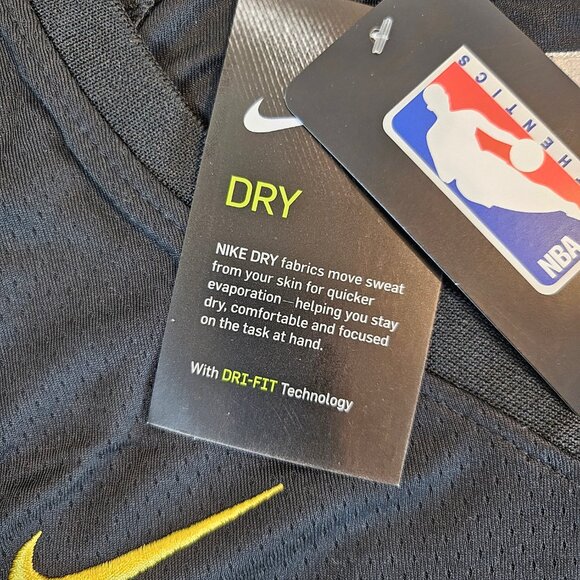 Nike NBA Pascal Siakam 43 Toronto Raptors Basketball Jersey - Size XL - Picture 6 of 8